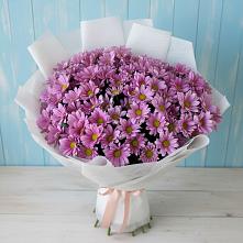 Букет цветов из:  Хризантемы в Восточном Ставропольского края