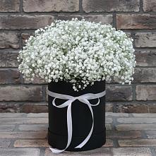 Цветочная композиция из Гипсофила в шляпной коробке в Восточном Ставропольского края