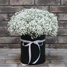 Цветочная композиция из Гипсофила в шляпной коробке в Восточном Ставропольского края