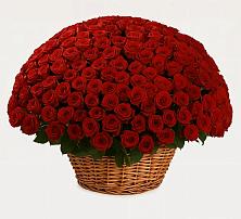 Премиум букет из: Розы в Восточном Ставропольского края